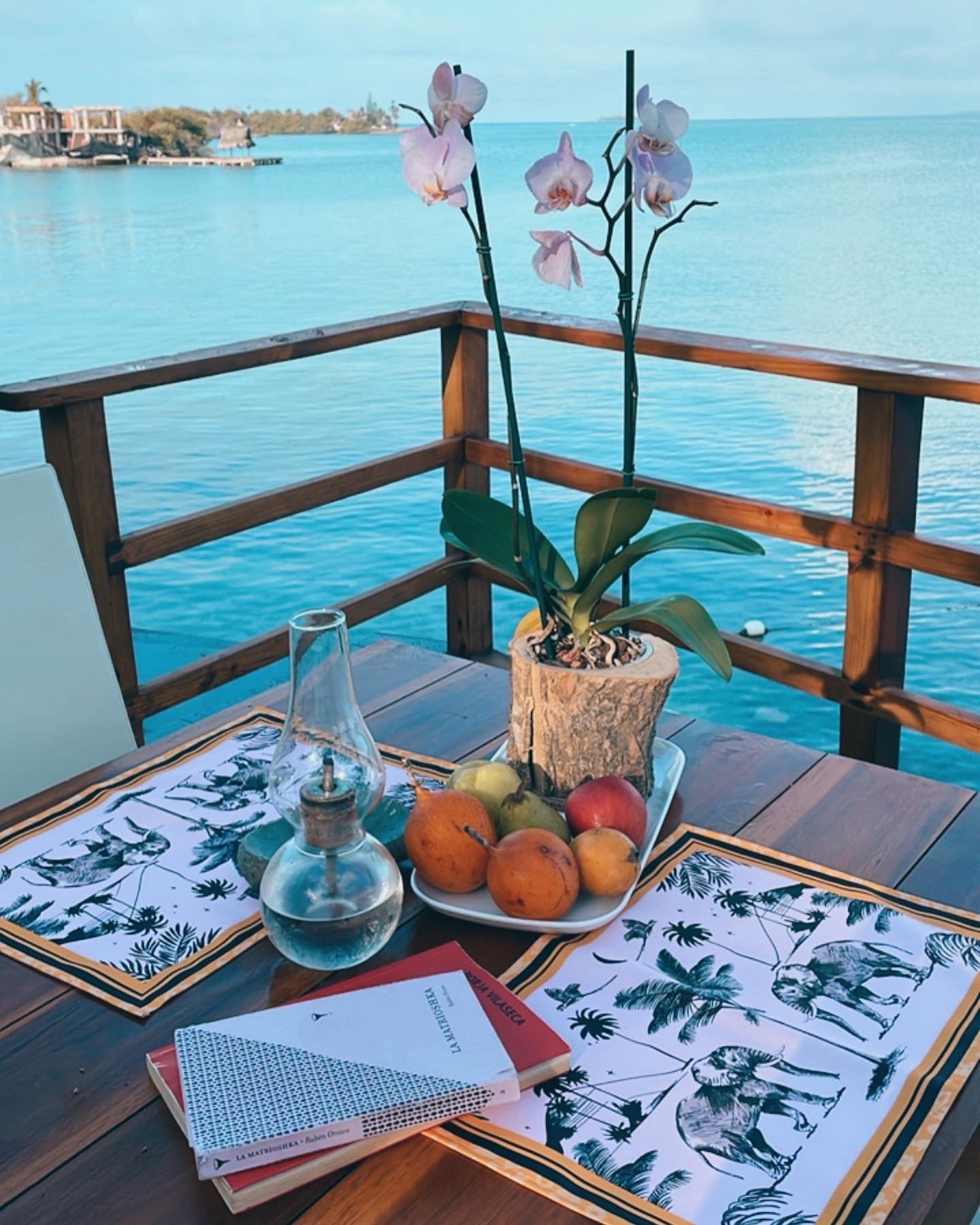 INDIVIDUAL - ELEFANTE