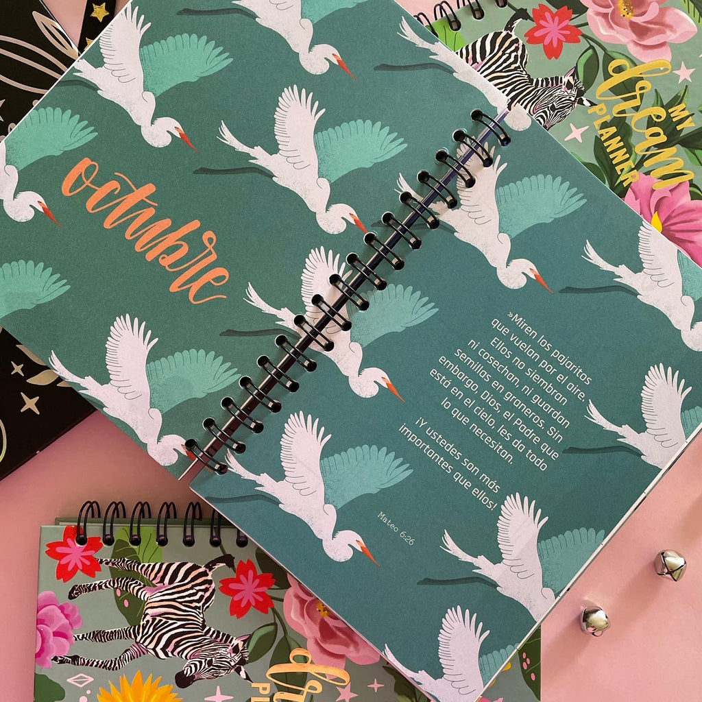 MY DREAM PLANNER ILUSTRADO