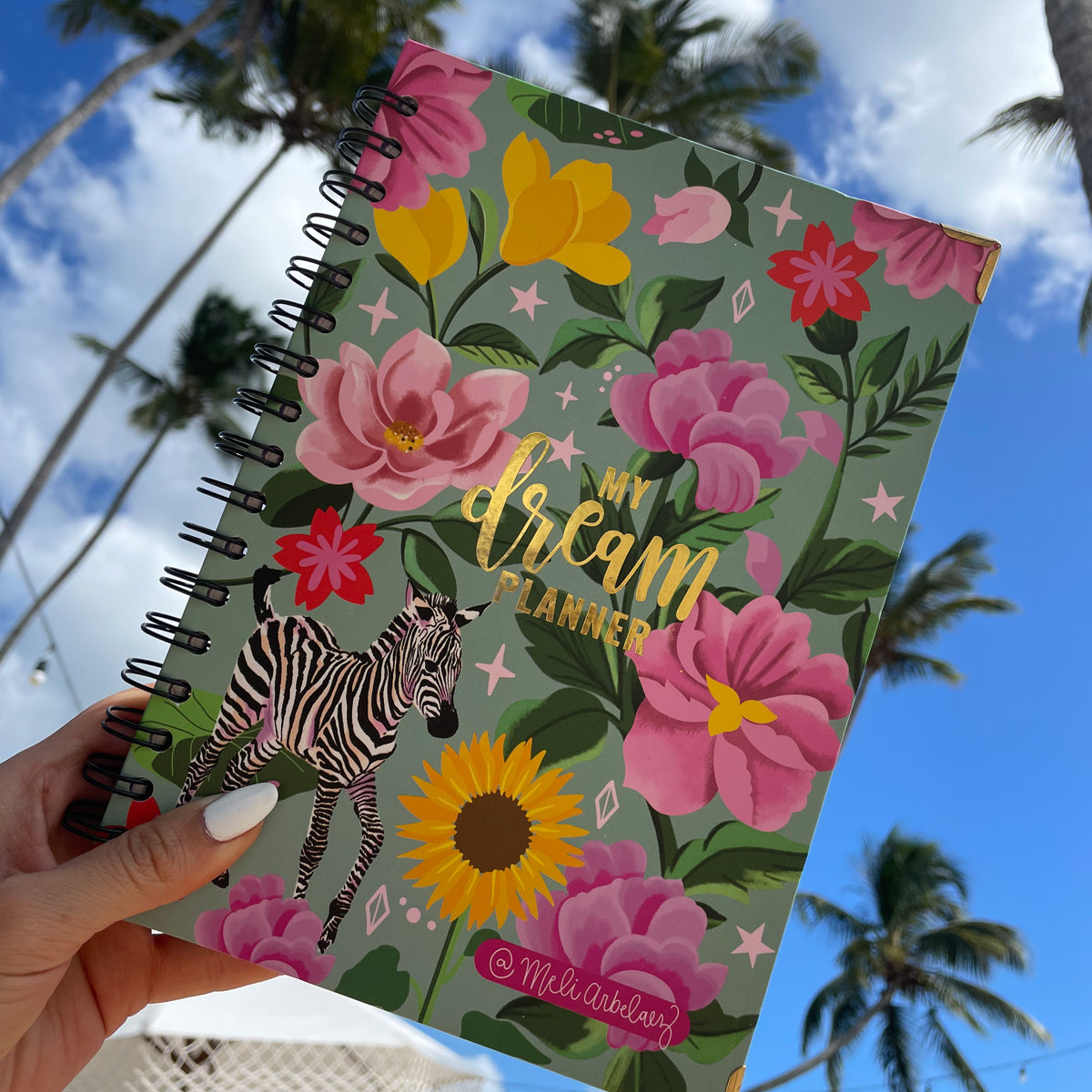 MY DREAM PLANNER ILUSTRADO